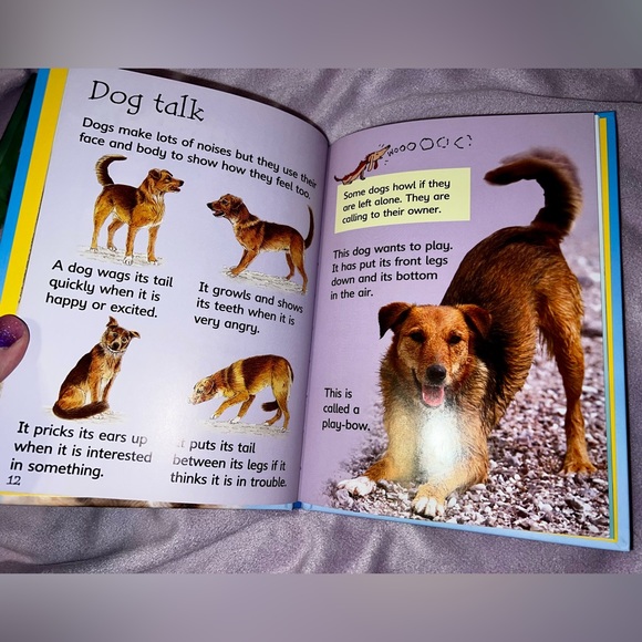 Pandas🐼, Dogs🐶 & Otters🦦 Beginners Books - Picture 4 of 5